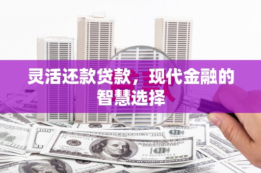 阜平灵活还款贷款，现代金融的智慧选择