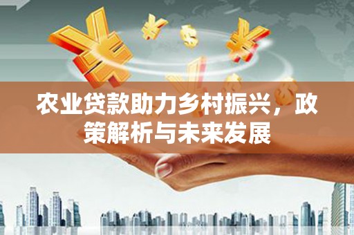 阜平农业贷款助力乡村振兴，政策解析与未来发展