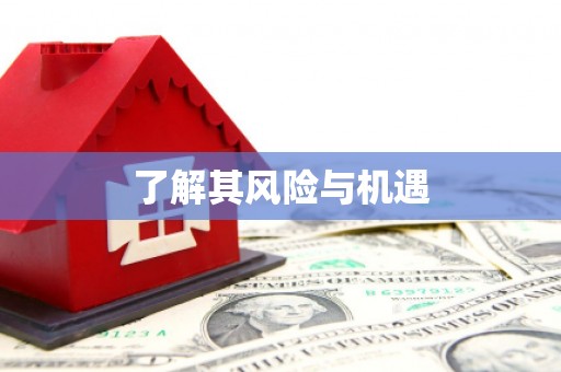 阜平了解其风险与机遇