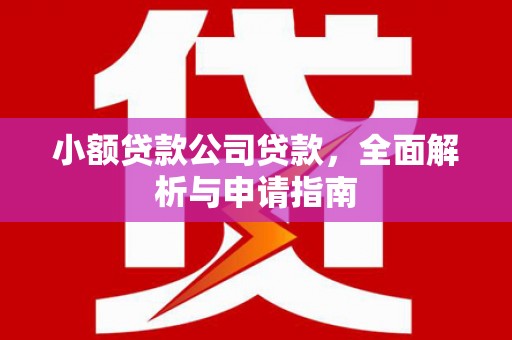 阜平小额贷款公司贷款，全面解析与申请指南