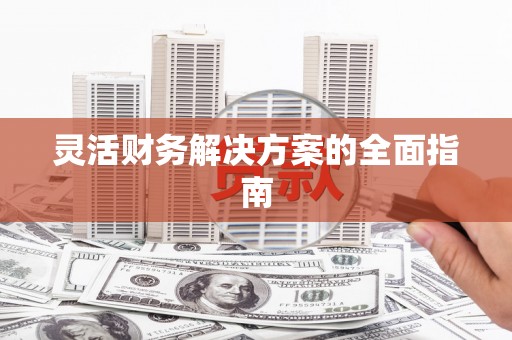 阜平灵活财务解决方案的全面指南