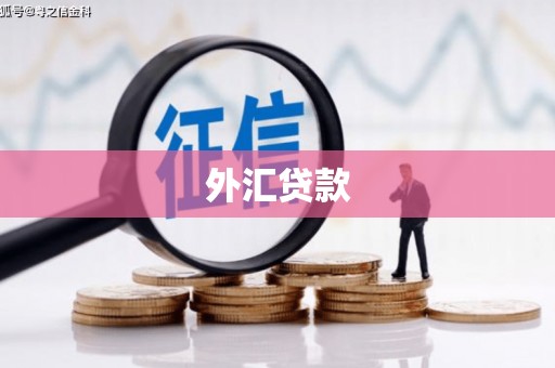 阜平外汇贷款