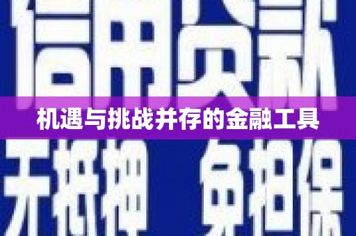 阜平机遇与挑战并存的金融工具
