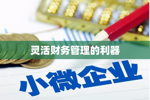 阜平灵活财务管理的利器