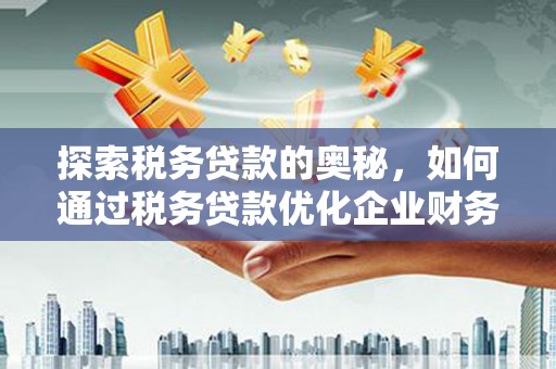 阜平探索税务贷款的奥秘，如何通过税务贷款优化企业财务