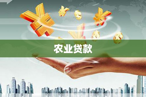 阜平农业贷款