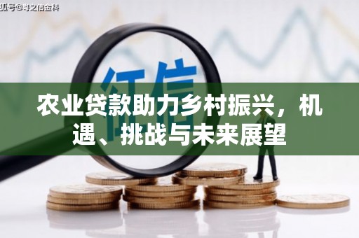 阜平农业贷款助力乡村振兴，机遇、挑战与未来展望