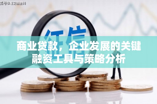 阜平商业贷款，企业发展的关键融资工具与策略分析