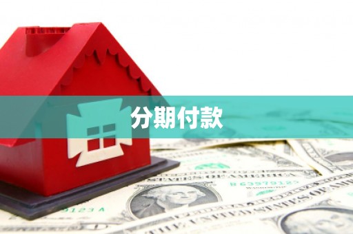 阜平分期付款