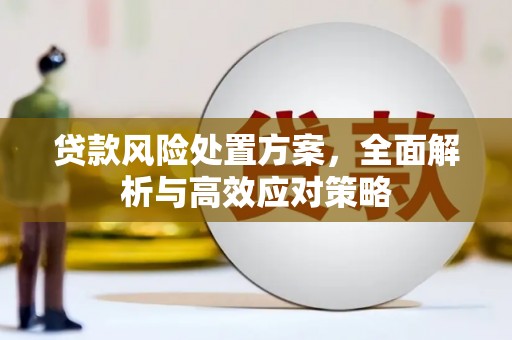 阜平贷款风险处置方案，全面解析与高效应对策略