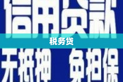 阜平税务贷