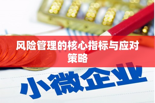 阜平风险管理的核心指标与应对策略
