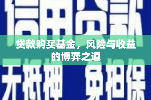 阜平贷款购买基金，风险与收益的博弈之道