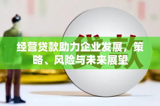 阜平经营贷款助力企业发展，策略、风险与未来展望