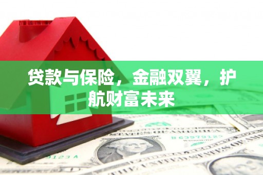阜平贷款与保险，金融双翼，护航财富未来