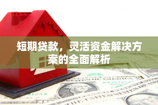 阜平短期贷款，灵活资金解决方案的全面解析
