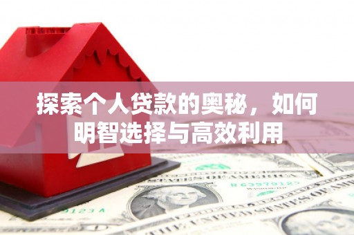 阜平探索个人贷款的奥秘，如何明智选择与高效利用