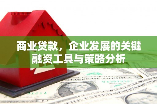 阜平商业贷款，企业发展的关键融资工具与策略分析