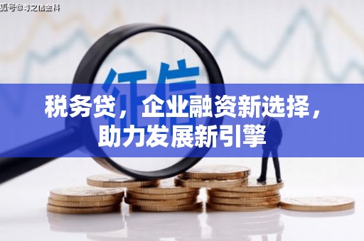阜平税务贷，企业融资新选择，助力发展新引擎