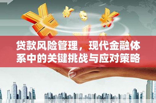 阜平贷款风险管理，现代金融体系中的关键挑战与应对策略