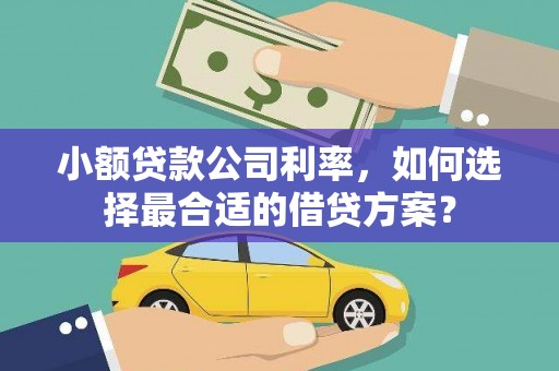 阜平小额贷款公司利率，如何选择最合适的借贷方案？
