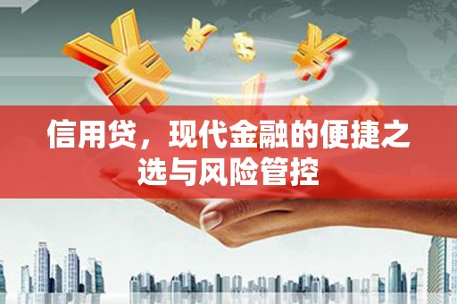 阜平信用贷，现代金融的便捷之选与风险管控