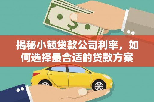 阜平揭秘小额贷款公司利率，如何选择最合适的贷款方案
