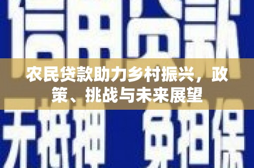 阜平农民贷款助力乡村振兴，政策、挑战与未来展望