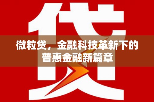 阜平微粒贷，金融科技革新下的普惠金融新篇章