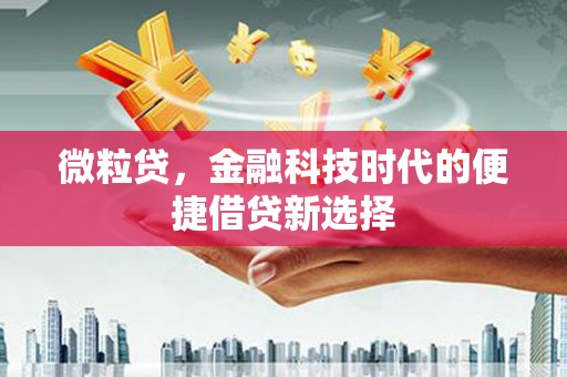 阜平微粒贷，金融科技时代的便捷借贷新选择