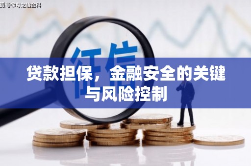 阜平贷款担保，金融安全的关键与风险控制