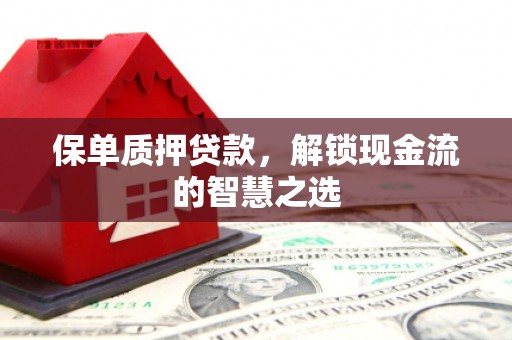 阜平保单质押贷款，解锁现金流的智慧之选