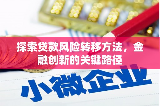 阜平探索贷款风险转移方法，金融创新的关键路径