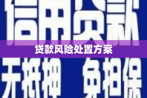 阜平贷款风险处置方案
