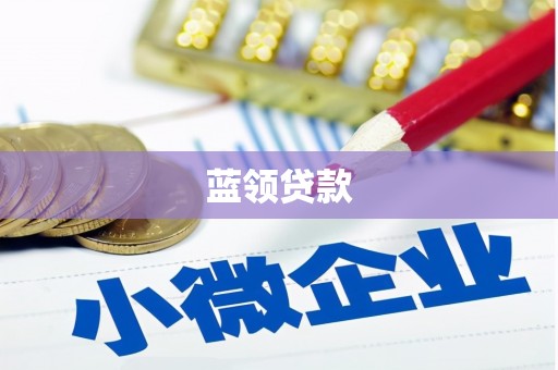 阜平蓝领贷款