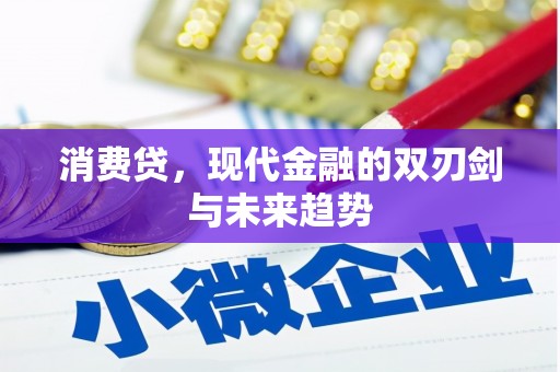 阜平消费贷，现代金融的双刃剑与未来趋势
