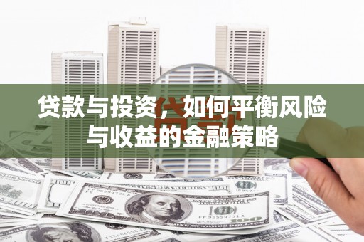 阜平贷款与投资，如何平衡风险与收益的金融策略