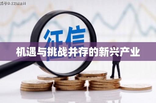 阜平机遇与挑战并存的新兴产业