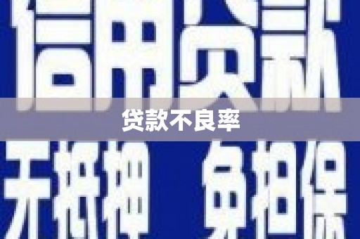 阜平贷款不良率