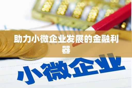 阜平助力小微企业发展的金融利器