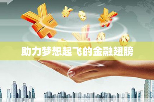阜平助力梦想起飞的金融翅膀
