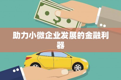 阜平助力小微企业发展的金融利器