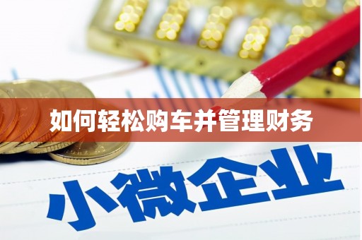 阜平如何轻松购车并管理财务