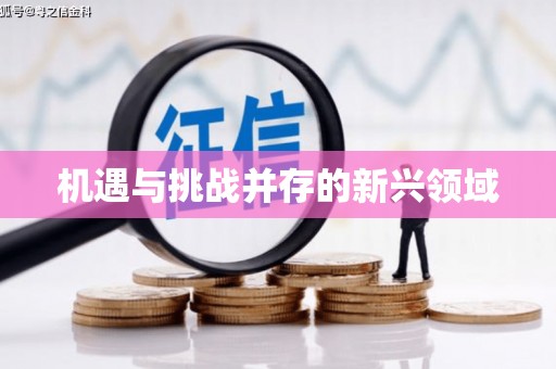 阜平机遇与挑战并存的新兴领域
