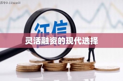 阜平灵活融资的现代选择