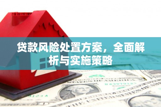 阜平贷款风险处置方案，全面解析与实施策略