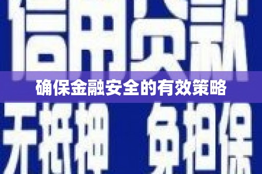 阜平确保金融安全的有效策略