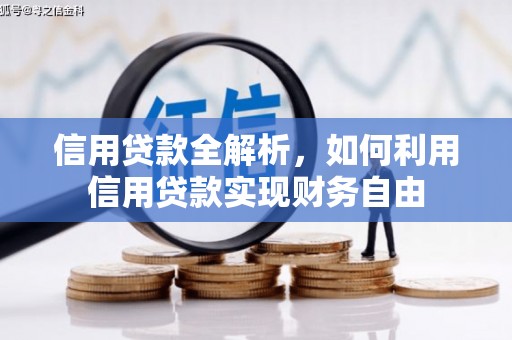 阜平信用贷款全解析，如何利用信用贷款实现财务自由