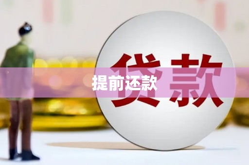 阜平提前还款