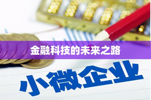 阜平金融科技的未来之路